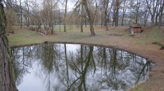 Záhada. Jazierko na Borovej hore zmenilo farbu