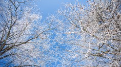 Do nového týždňa vstúpime v chladnom počasí. Už čoskoro však príde obrat, aký poteší mnohých