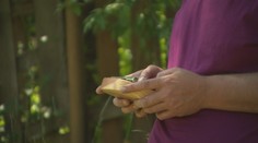 Jeho základom sú vzácny kus dreva a kovové lamely. Poznáte tento tradičný africký hudobný nástroj?