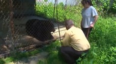 Nevhodný domáci miláčik: Starajú sa oň 30 rokov, teraz im ho chcú vziať