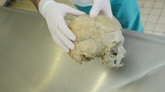 Kosti, ktoré našli pod mostom neďaleko Popradu, nemuseli patriť bezdomovcom