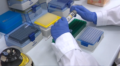 Incidencia stúpa. Nový subvariant tvorí v USA už polovicu odhalených prípadov