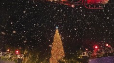 Budete počas Vianoc doma alebo sa chystáte cestovať? Blogerka radí termíny, kedy sa dá ušetriť