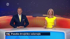 Pandie dvojičky oslavujú