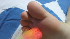 Polícia sa s niečím takýmto ešte nestretla: Hľadá bostonského štekliča