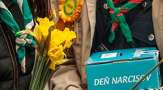 Zlodeji ukradli takmer 10-tisíc eur zo zbierky z Dňa narcisov