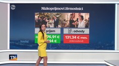 Živnostníci po novom