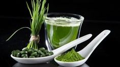 Zelené potraviny sú v móde. Je ňou aj chlorella