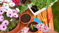 Jarné teploty nenechajú sedieť doma žiadneho záhradkára