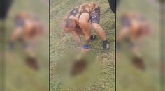 Šokujúce zábery z Trenčína: Muži chceli zranenú mačku doraziť sekerou