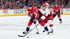 Dvojica slovenských hokejistov dostala v NHL nové zmluvy. Tímy si na oboch udržali práva