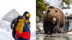 Rus prežil napadnutie medveďom. Pomohol mu telefón