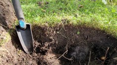 Celá rodina pátrala po stratenej náušnici. Namiesto nej našli neuveriteľnú vzácnosť