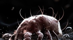 Nechali sme sa vyšetriť na parazity. Dopadlo to katastrofálne