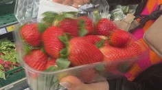 V škole na Kysuciach dostali deti jahody kontaminované žltačkou. Štát spúšťa veľkú kontrolu