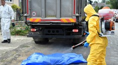 Potvrdili ďalší prípad afrického moru ošípaných na východnom Slovensku