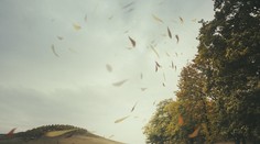 Cez víkend zasiahne Slovensko intenzívny dážď. V ohrození sú tieto okresy