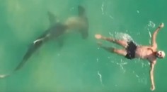 VIDEO: Dron zachytil dychberúci moment. Žralok krúžil okolo ničnetušiaceho plavca