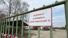 Drobnochovateľov poškodených slintačkou odškodnia tento týždeň. Minister Takáč vyzval na registráciu „čiernych chovov“