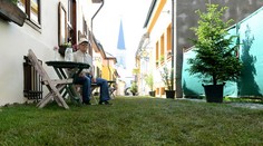 Na východe vymenili chodník za trávu