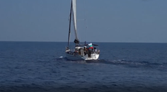 Kapitán lode zachránil šesť mačiatok