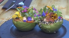 Hmyz aj avokádo na všetky spôsoby. Pozrite si to najlepšie z gastronómie za rok 2017