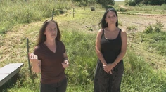 Majiteľka vypátrala cez inzerát ukradnutého koňa. Našla ho až v Rumunsku