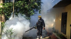 Čína hlási vyše 7 000 prípadov vírusu chikungunya. Na internete vypukla panika