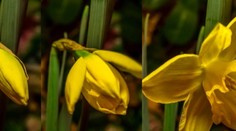 Prekrásne časozberné video vás ohromí. Nakrútil ho Slovák