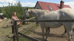Stará sa o súkromný azyl. Zvieratám sa snaží zaistiť starostlivosť aj ošetrenie