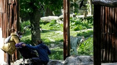 FOTOGALÉRIA: Krajina sa otvára. Pozrite sa, ako to vyzerá na Slovensku po uvoľnení opatrení