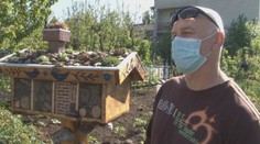 Nadšený záhradkár zo Svidníka vybudoval pre užitočný hmyz hotel