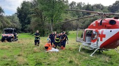 Tu sú detaily útoku medveďa na ženu v ovocnom sade za Hradišťom. Život jej zachránil manžel