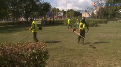 EÚ nariaďuje kompostovať trávu. Ale ako, keď každé mesto nemá kompostáreň?