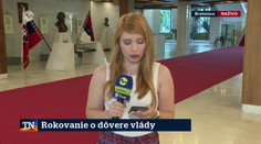 Rokovanie o dôvere vlády