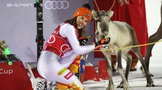 Vlhovej sobia rodina z Levi má už 5 členov. Čo sa so zvieratami stane po pretekoch?