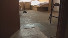 Tešila sa na študentský život v Bratislave. Po prvej návšteve internátu odišla s plačom