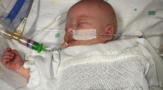 Nepodstúpila v tehotenstve očkovanie, synčeka jej vzal čierny kašeľ