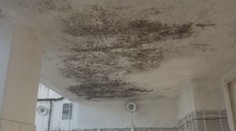 Kuchyňa v bojnickej nemocnici má plesne na stenách už 20 rokov. Napriek tomu varia pre pacientov