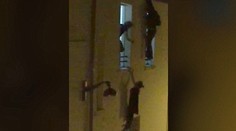 Príbeh tehotnej ženy, ktorá visela počas útoku v Paríži z okna