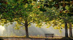 Jeseň sa začala tropicky. V polovici septembra príde zlom