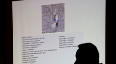 Ukázali veľké trosky z Air Asia, ktoré preskúmajú potápači