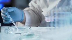 V tejto krajine prudko stúpajú úmrtia na covid. Za posledný mesiac až o 40 percent