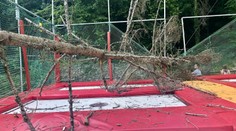 Na Železnej studničke spadol v sobotu podvečer suchý strom na trampolínu s deťmi