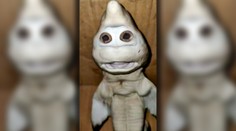 VIDEO: Rybár ulovil desivého žraloka. Mláďa má ľudskú tvár