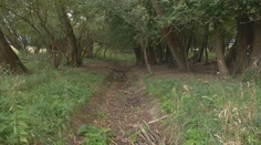 Vody je málo a potoky vysychajú. Farmár prišiel s riešením