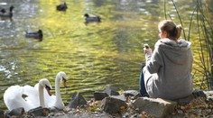 Babie leto k nám predsa len dorazí. Teploty vyskočia poriadne nahor