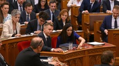 Politické zemetrasenie v Maďarsku. Parlament schválil dodatok o odvolaní prezidenta