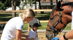 Ako kone prospievajú nášmu duševnému zdraviu?