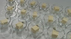 TEST masla. Ktoré sa dobre rozotiera a ktoré je ako kameň?